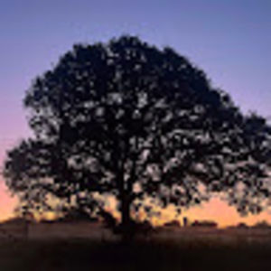 Meet your Posher, Hallie